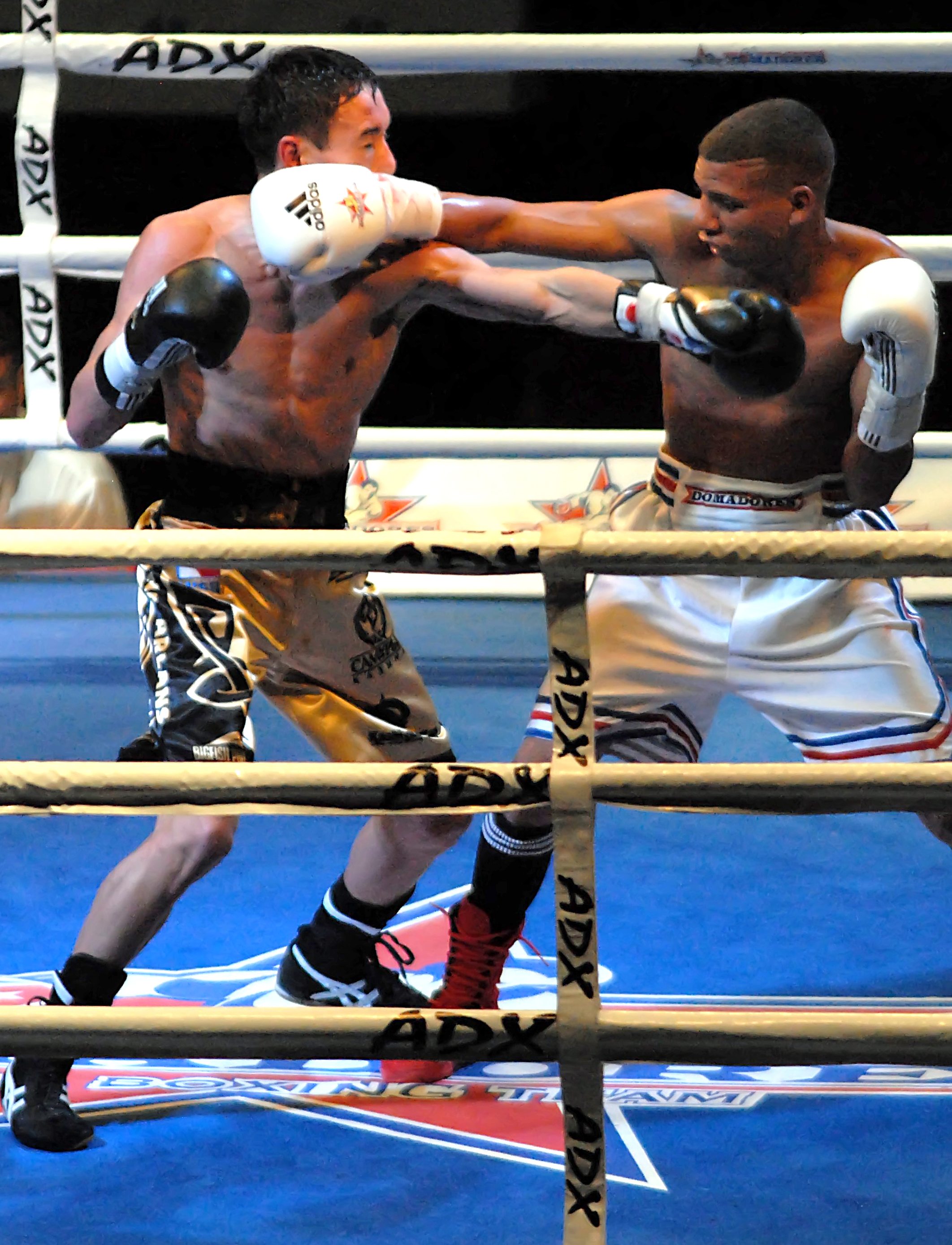 Round nueve para la Serie Mundial de Boxeo • Trabajadores