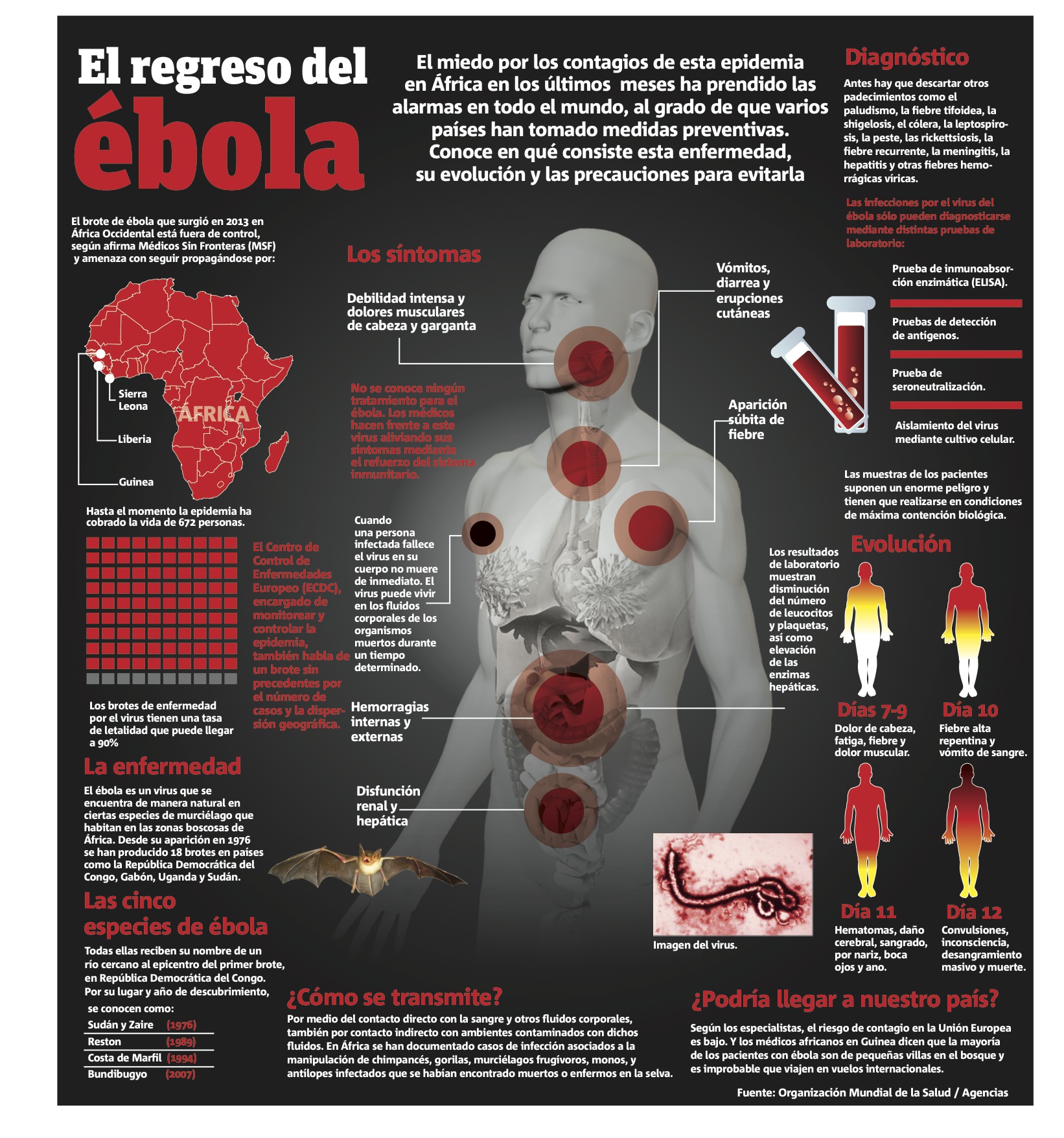 Preguntas Frecuentes Sobre La Enfermedad Por El Virus Del Ebola