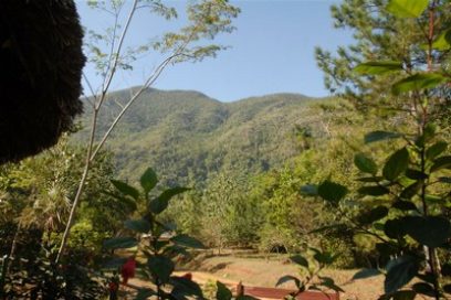 Iniciativas espirituanas dan vida al bosque