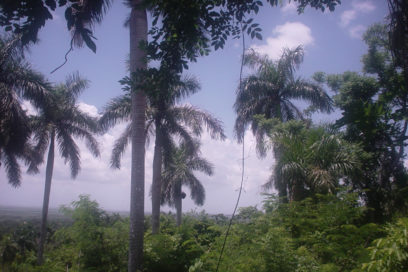 Las Terrazas: A Green Paradise in Cuba