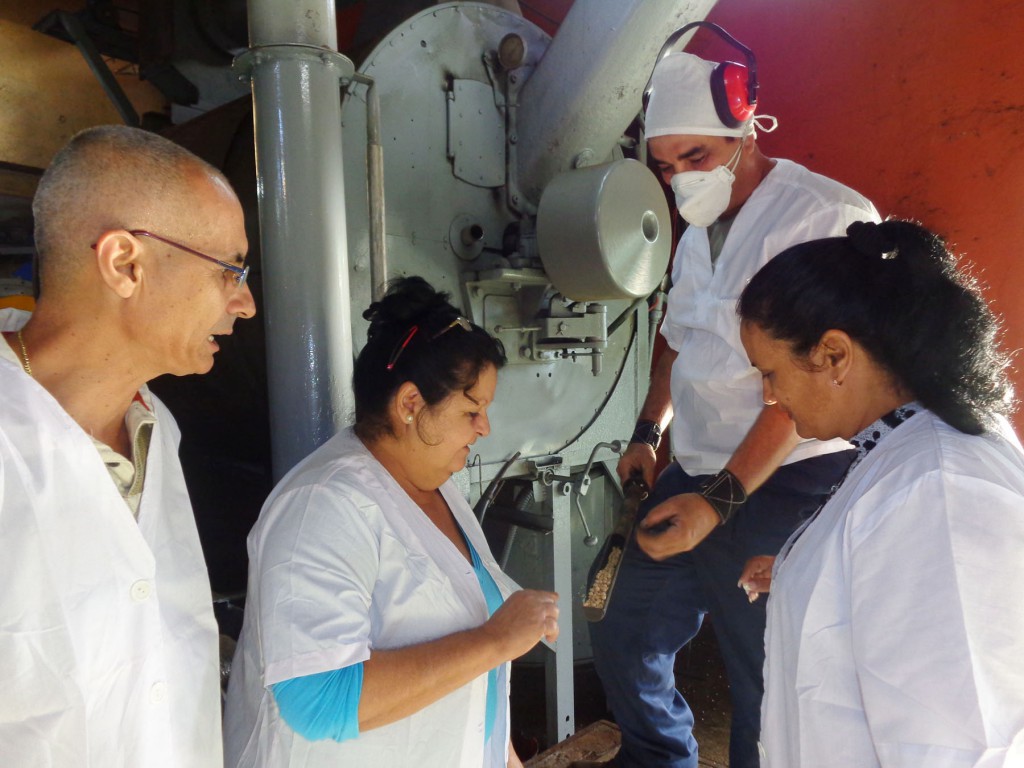 El operario muestra la calidad del tueste con el equipo modernizado por los innovadores del centro. Foto: José Luis Martínez Alejo