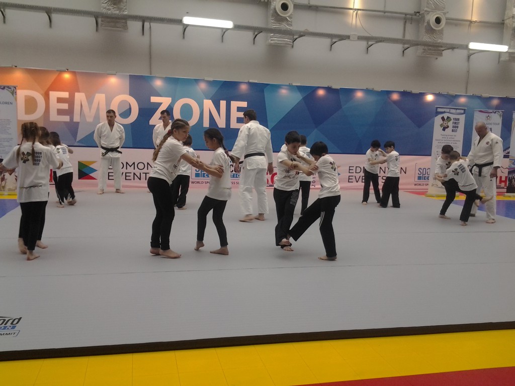 Zonas de Demostración Deportiva, esta vez con una Clase Magistral de Judo. Foto: joel García