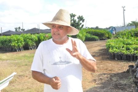El ingeniero Granados ha dedicado más de 30 años a a las labores agrícolas y se le considera un amante de la fruticultura por sus amplios conocimientos. Foto: Rafael Martínez