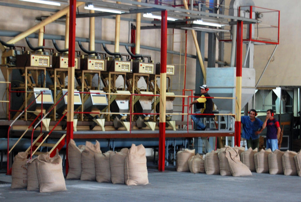 La planta de beneficio de café de Cumanayagua, en Cienfuegos, funciona en buena medida gracias a los aportes de los innovadores. Foto: Ramón Barreras Ferrán