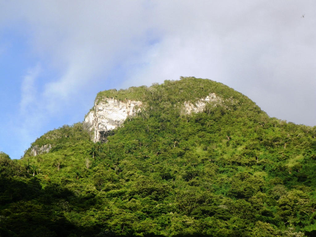 Lomas de Banao, museo de la biodiversidad