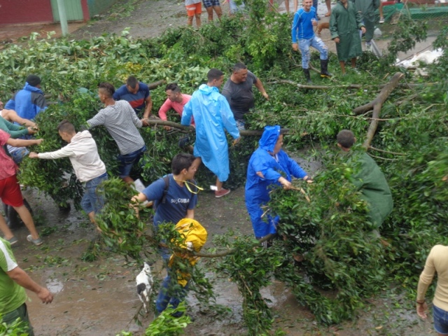 Vecinos de La Jaiba despejan con esfuerzo propio una vía obstruida. Foto: Noryis