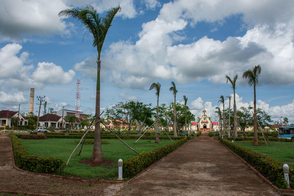 Las primeras palmas que sustituirán a las legendarias arrasadas por el huracán Irma ya están plantadas en el parque del batey Jaronú. Foto: Leandro Armando Pérez Pérez