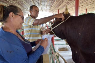 Los milagros de la Santa Gertrudis