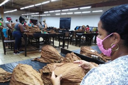 Tabaco tapado, tabaco preciado (+ Fotos)  (I)