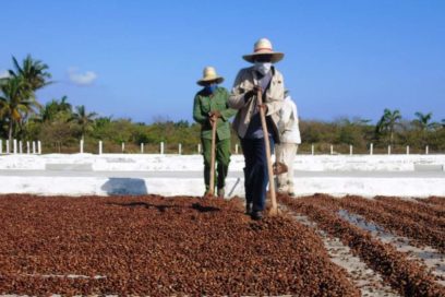 La ruta hacia los alimentos con más Ciencia