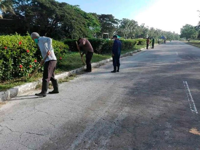Los transportistas realizaron acciones de higienización de las áreas verdes de la ciudad. Foto: Tomada de Facebook
