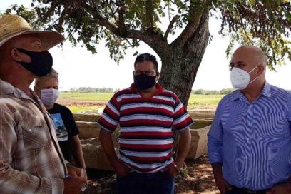 Ratifica en Camagüey Morales Ojeda prioridad de la producción de alimentos (+Fotos)