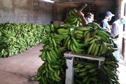¿Qué pasa con los alimentos en el municipio Ciro Redondo?