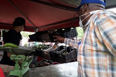 Valdés Mesa evaluó en Holguín programas de desarrollo agrícola