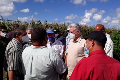 Evaluó Díaz-Canel producción de alimentos en Holguín
