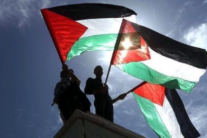 Por Palestina libre: No dejar caer, ni la rama de olivo ni las armas (+ Video)