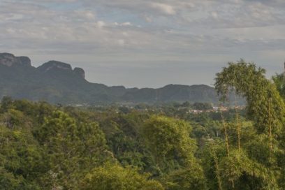 Proyecto de Ley del Sistema de Recursos Naturales y Medio Ambiente: Nuevas realidades y enfoque sistémico