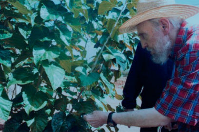 96 agostos: Fidel investigador (Separata)