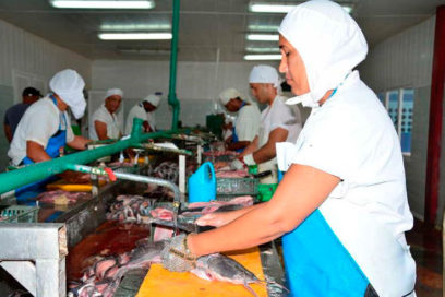 Con Filo: A cada cual, su trabajo