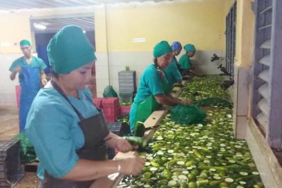 Cultivando la vida 25: Todas las familias SÍ valen (Video)