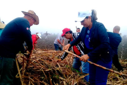 Unión sindical en surcos cañeros de Holguín