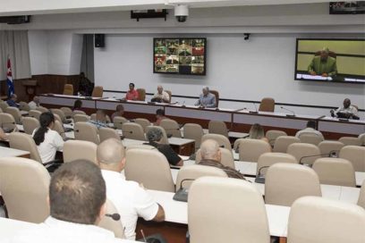Presidente de Cuba llama a aprovechar potencial apícola