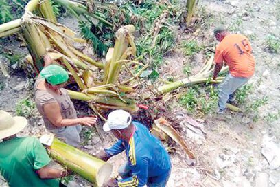 Toca hacer y solidaridad