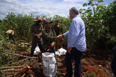 Díaz-Canel en Pinar del Río y Artemisa: la sistematicidad es clave para la recuperación