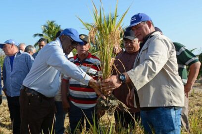 Aboga Valdés Mesa por mayor autonomía y soberanía agropecuaria
