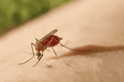 Intensificar acciones epidemiológicas y de control vectorial ante incremento de riesgos es esencial