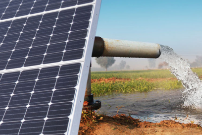 Ampliarán uso de energía solar para producción agropecuaria