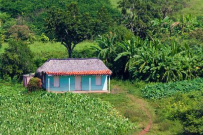 Arquitectura vernácula cubana a concurso (+ PDF)